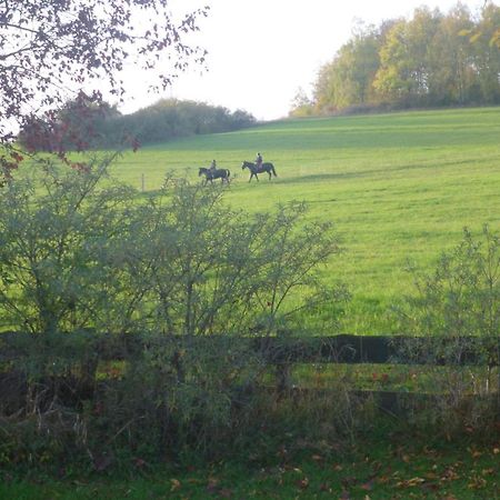 Natur Pur Mit Fernblick Fuer Wanderfreunde Bad Sachsa Buitenkant foto