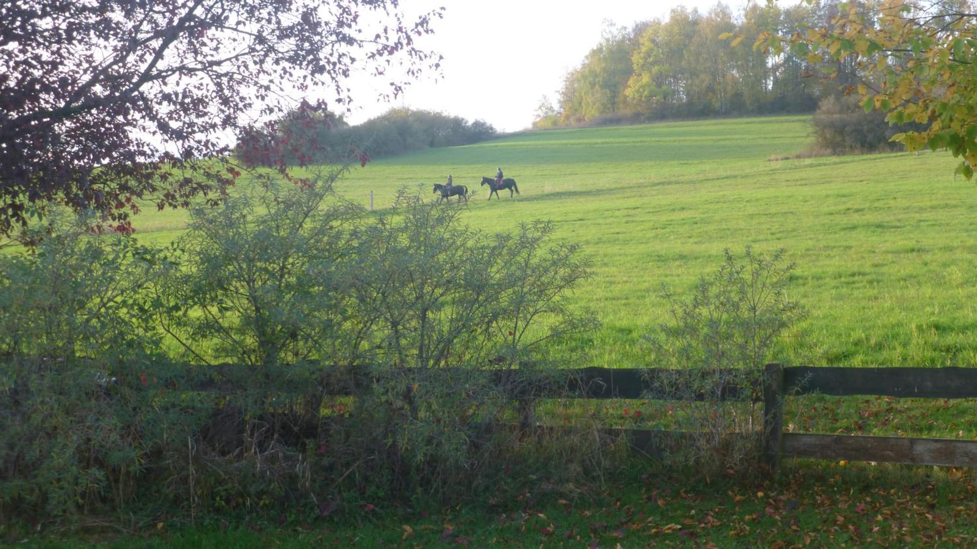 Natur Pur Mit Fernblick Fuer Wanderfreunde Bad Sachsa Buitenkant foto