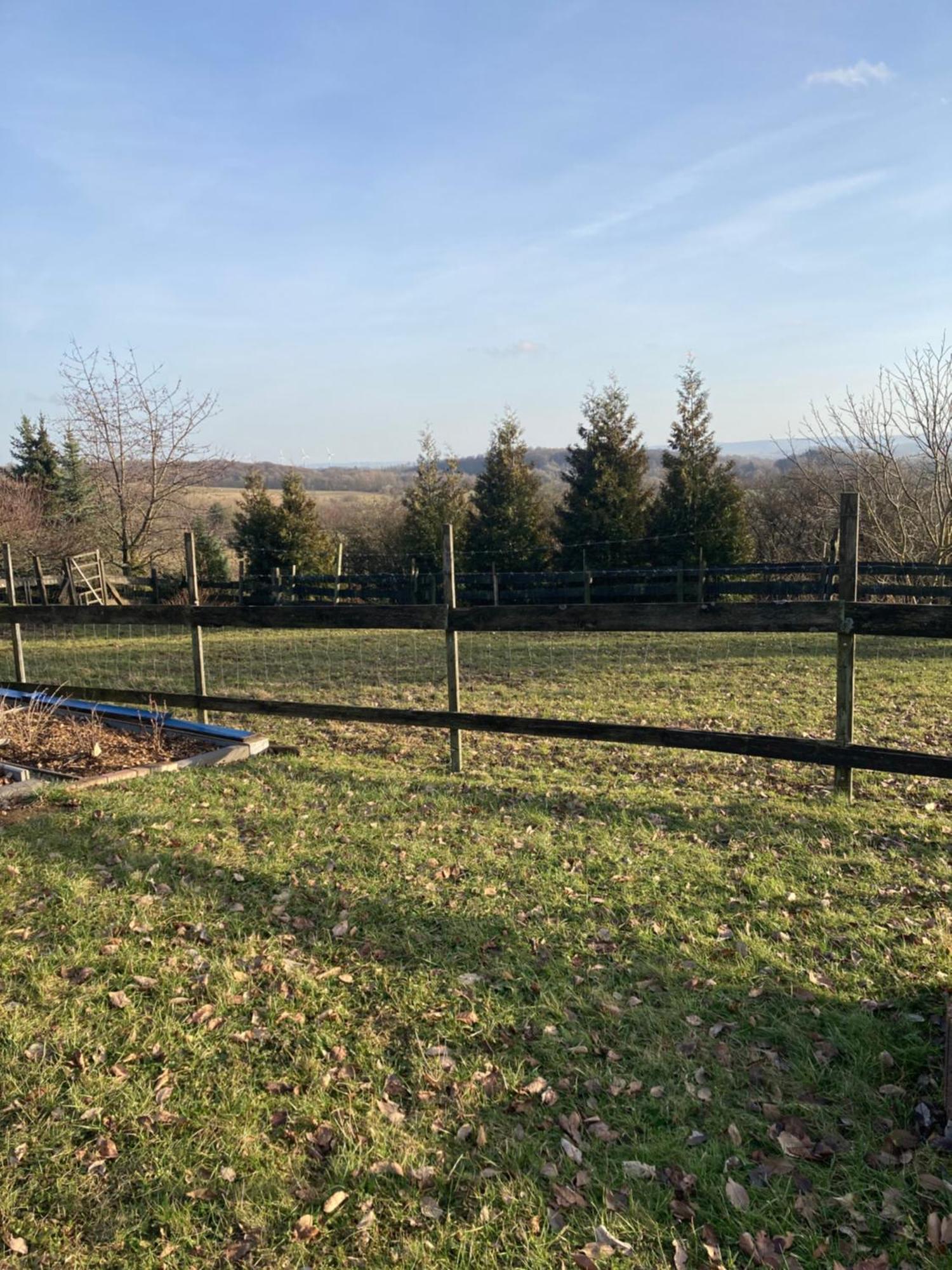 Natur Pur Mit Fernblick Fuer Wanderfreunde Bad Sachsa Buitenkant foto