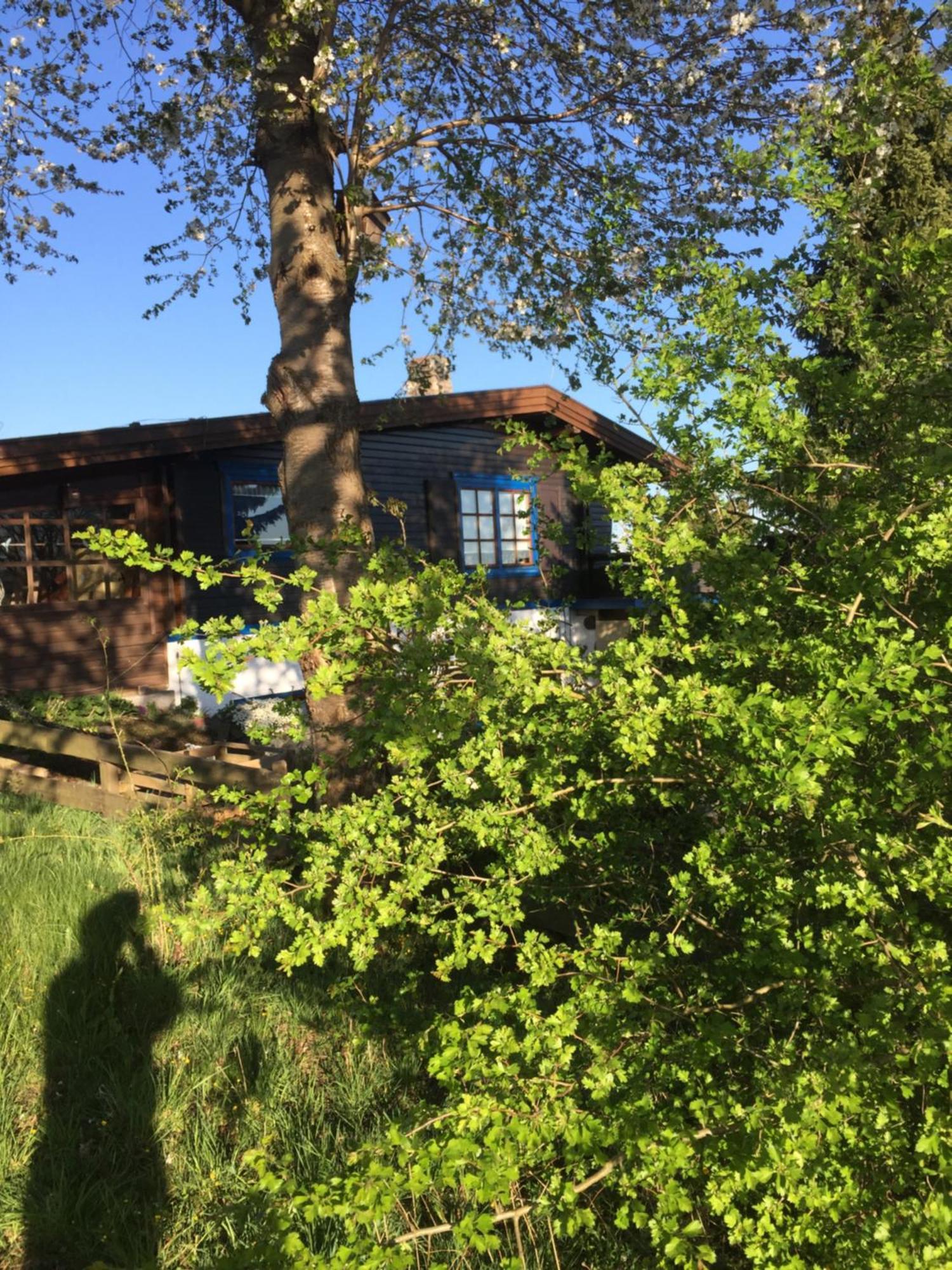 Natur Pur Mit Fernblick Fuer Wanderfreunde Bad Sachsa Buitenkant foto